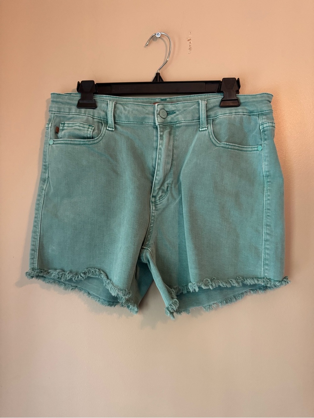 Judy Blue Seafoam Green Frayed Hem Denim Shorts